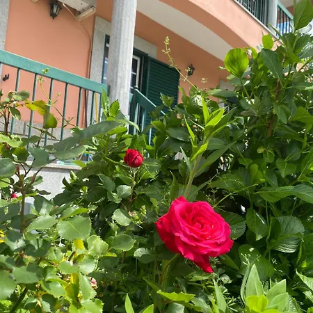 Apartment Vivenda Carthagena, House Fundão