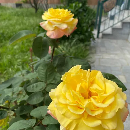 Vivenda Carthagena, House *