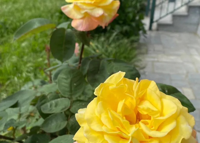 Vivenda Carthagena, House *